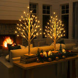 Enchanted Birch